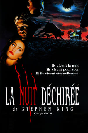 La Nuit déchirée