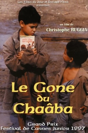 Le Gone du Chaâba